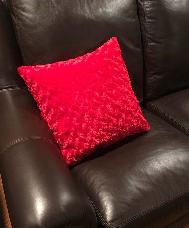 Red Fuzzy Pillow